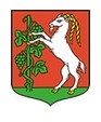 Samorzd Miasta Lublin